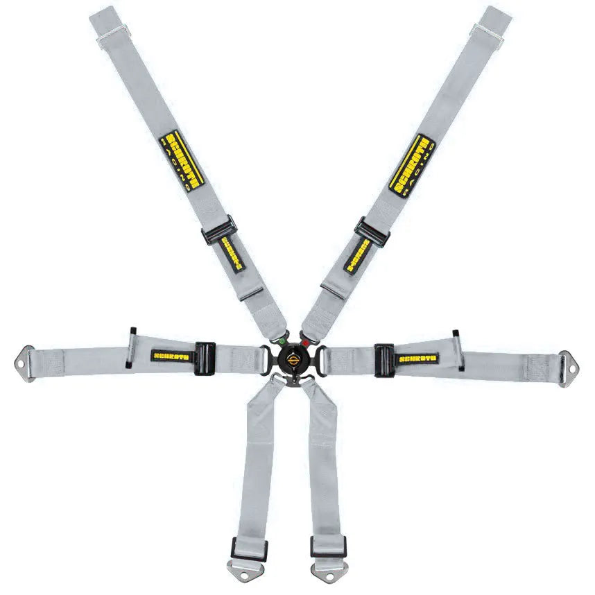 Schroth Porsche 2x2 Harness