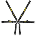 Schroth Porsche 2x2 Harness