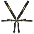Schroth Porsche 3x2 Harness